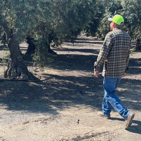 Artemio walks across the road to show Liz how the Sevillano crop looks so far