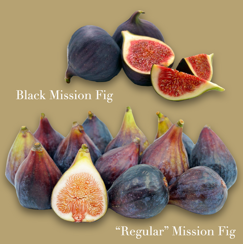 Black and Regular Mission Figs shown whole and cut open