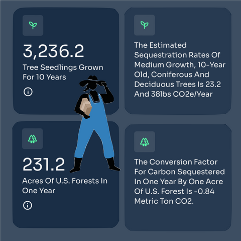 Graphic showing carbon offset equivalents for trees or acres of US forests