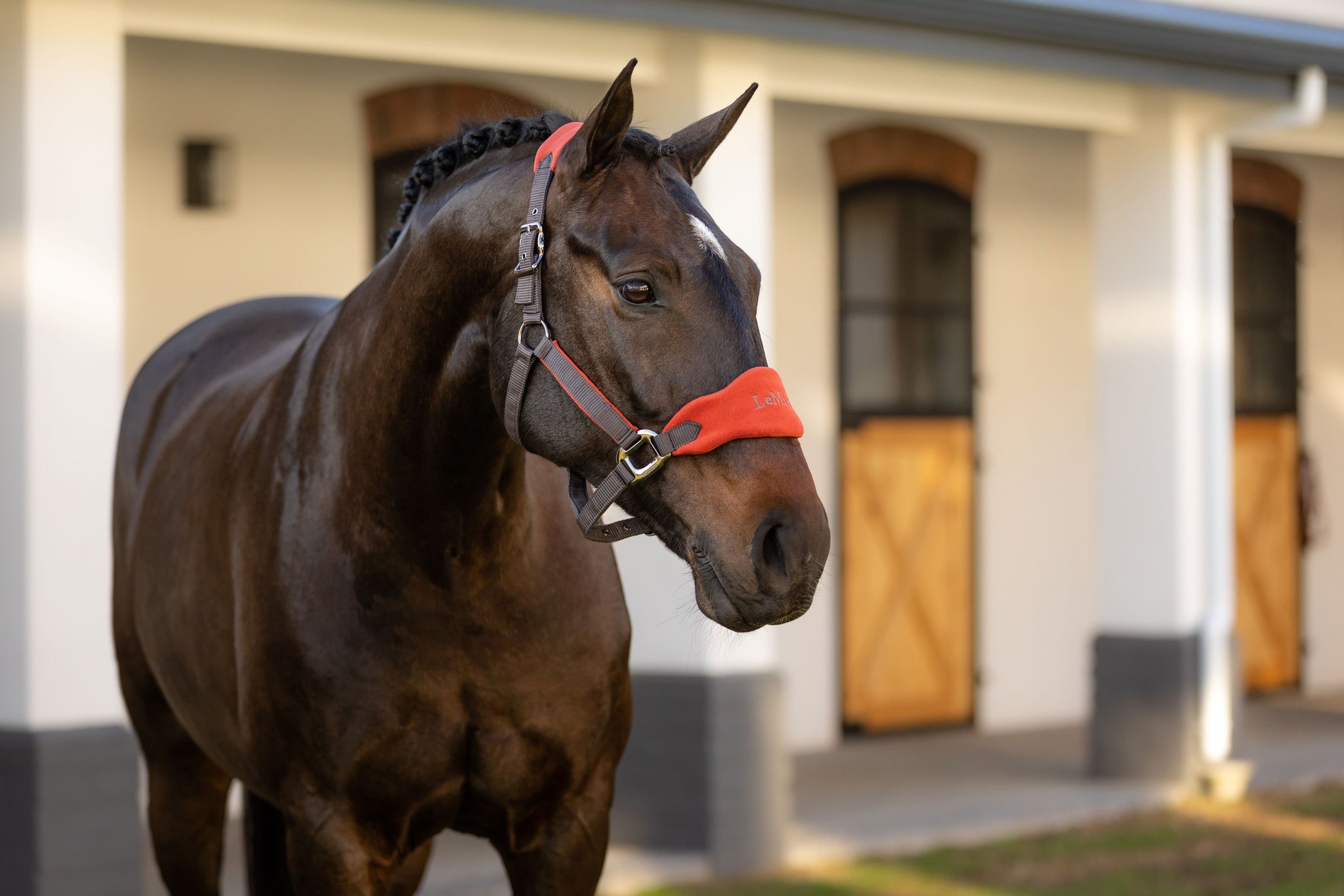 LeMieux Vogue Headcollar & Leadrope - SS23 – HorseSports