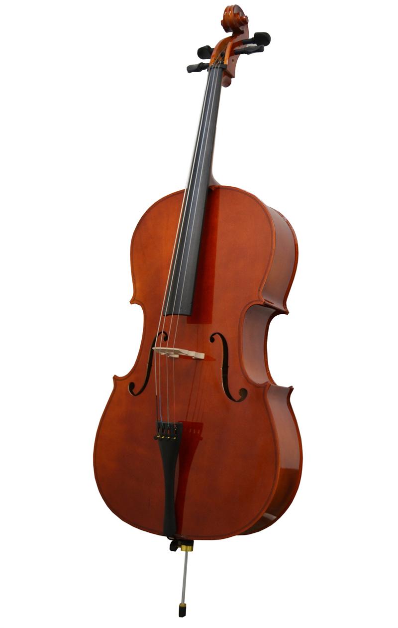 Strunal Josef Jan Dvorak SV-160 Violin 4/4 Size Made In Czech Republic