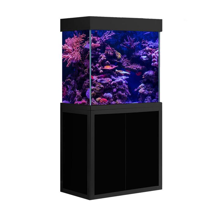 Conventie vriendelijk De kamer schoonmaken AquaDream 50 Gallon All Black Fish Tank Aquarium AD-860-ABK – Mancave King