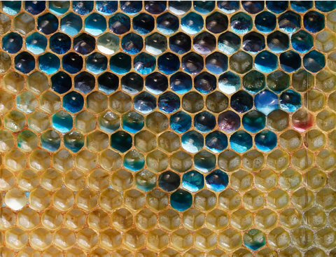 blue honeycomb