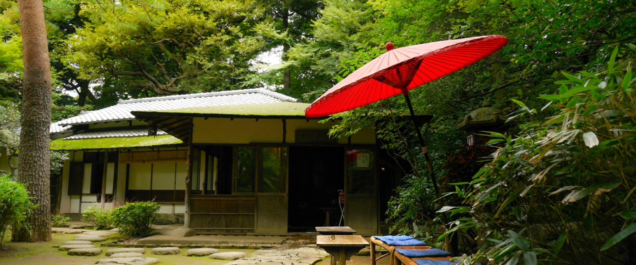parasol jardin