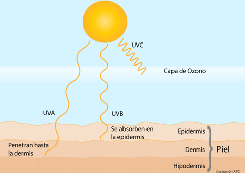 rayos-ultravioleta-UV-en-la-piel