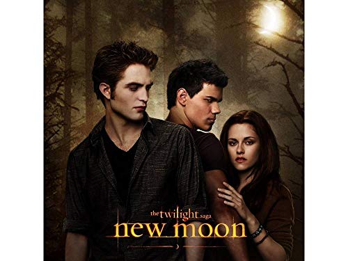 Spin Master Games The Twilight Saga New Moon Movie Board Game – ToysCentral  - New Zealand