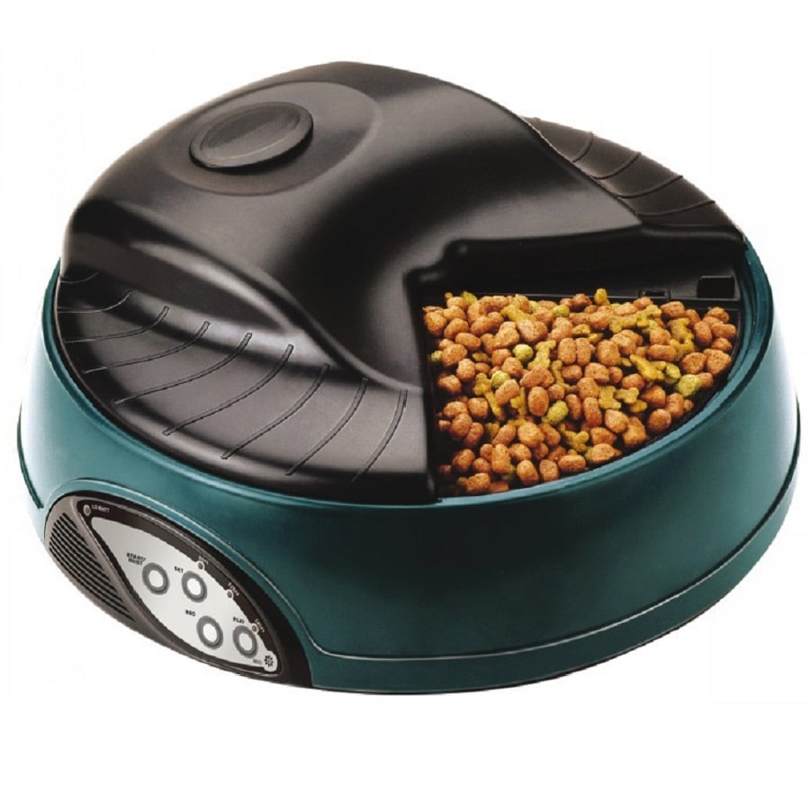 Q pets deals automatic pet feeder