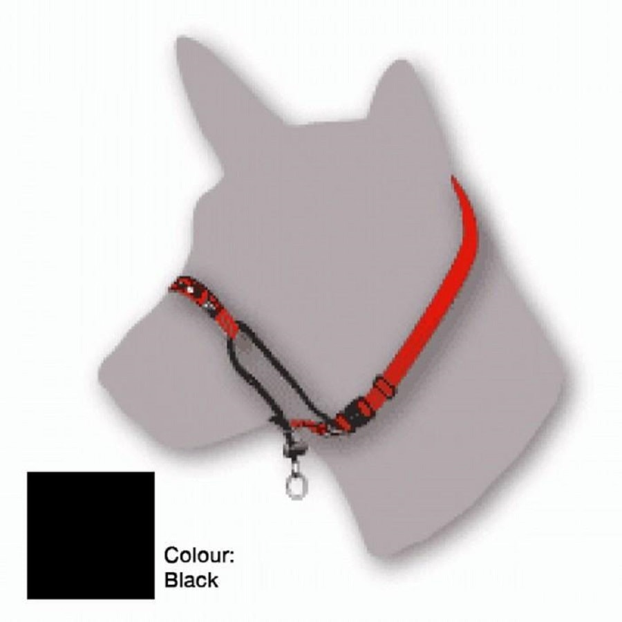 Black dog hot sale training collar