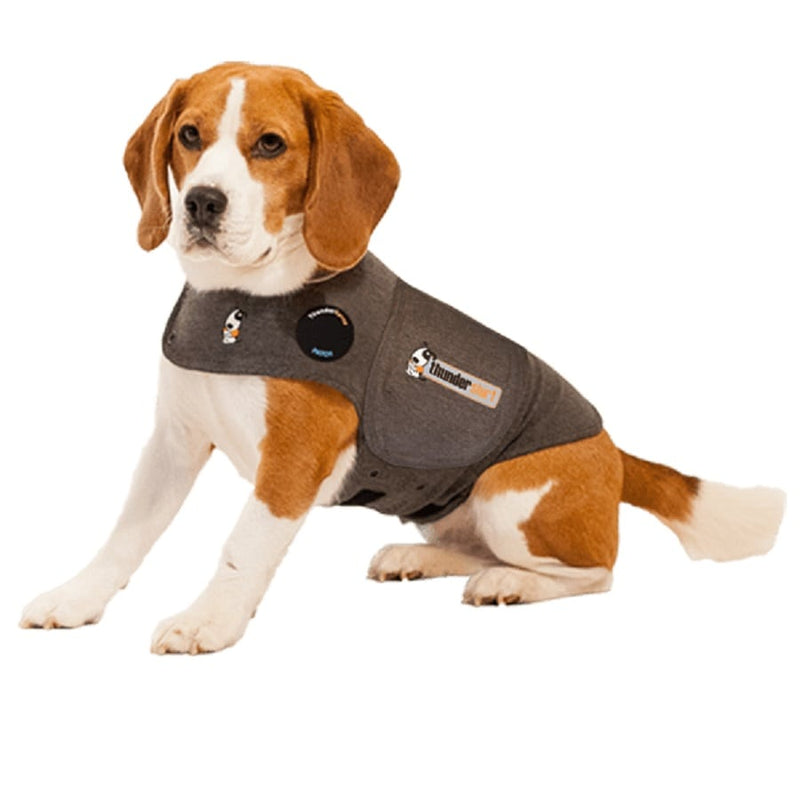 thundershirt for dogs xs