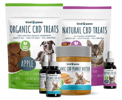 CBD Pet Products