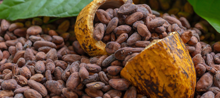 Best Ceremonial Cacao Queensland