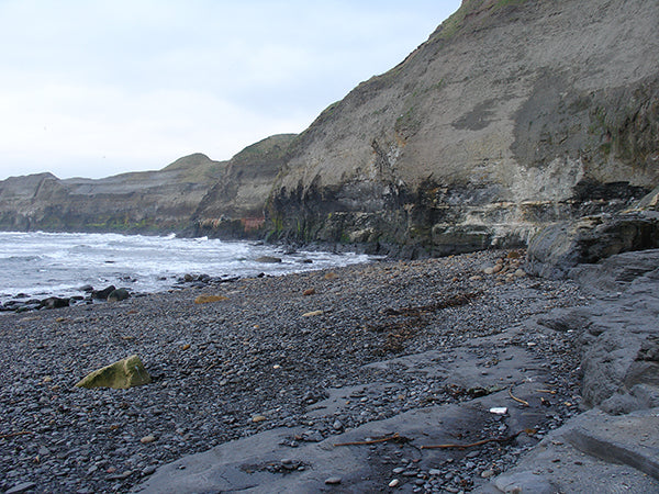 North Yorkshire Coastline Whitby Jet