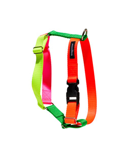 memphis harness in neon