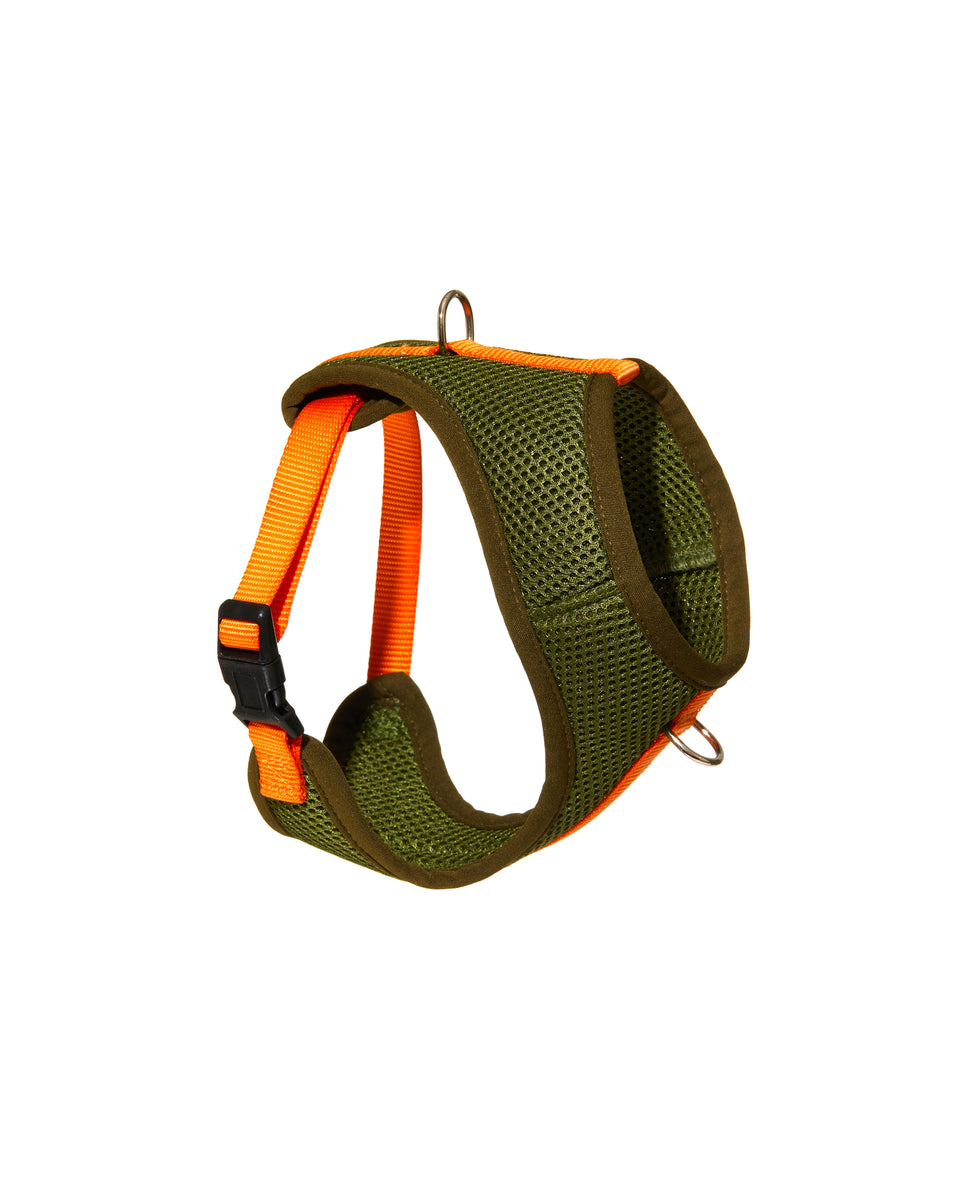 Color-Block Padded Harness