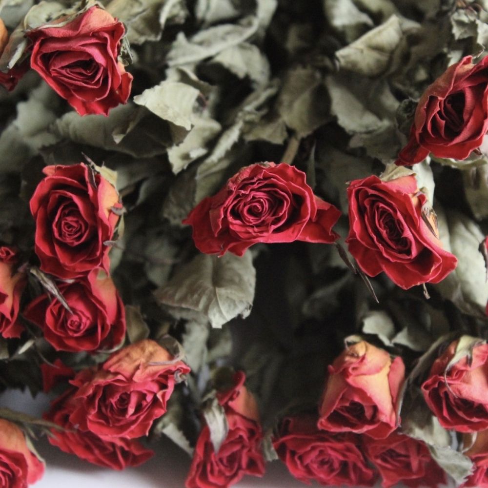 A bundle of dried red roses.