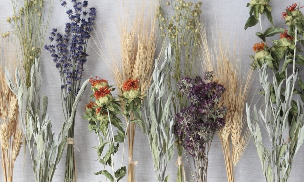 Caring for Dried Flowers: The Dos and Don’ts