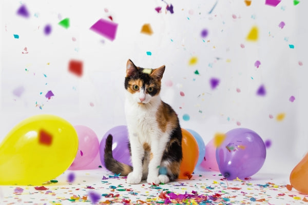 Celebrate Your Cat's Age