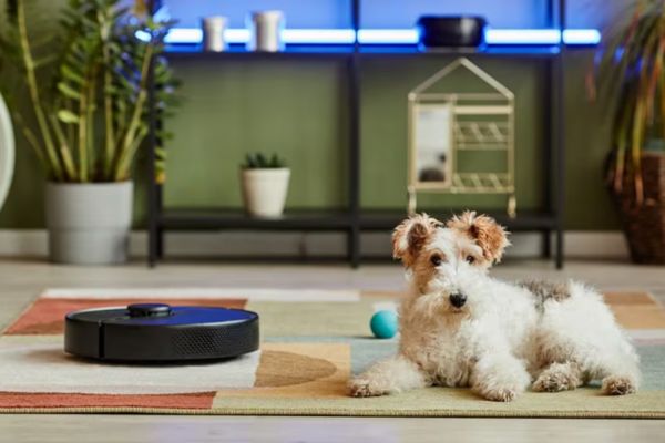 Essential Spring Cleaning Tips For Pet Parents
