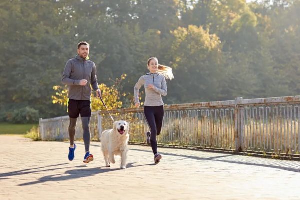 Importance Of Exercise For Dogs