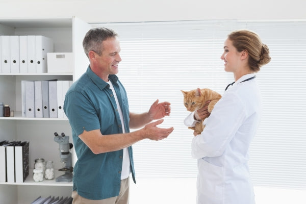 Prepare Your Cat For Its Trip To The Vet