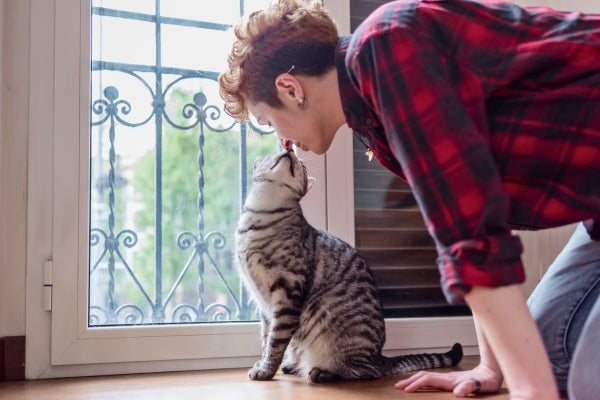 Reasons Why Cats Lick You