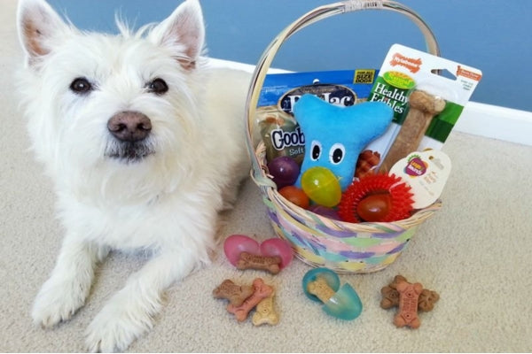 Things To Include In Your Dog’s Easter Basket