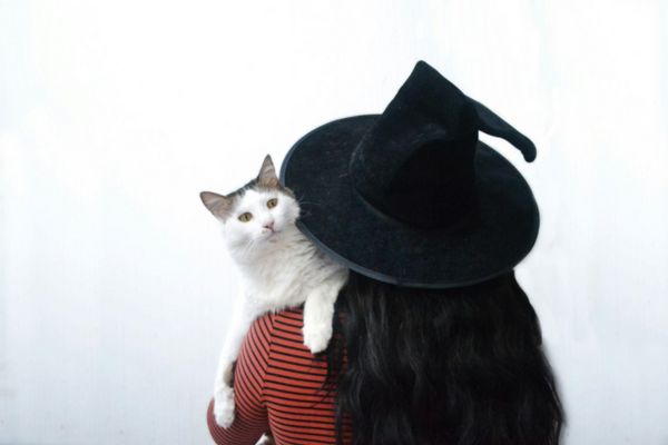 What Is The Connection Between Halloween And Cats?