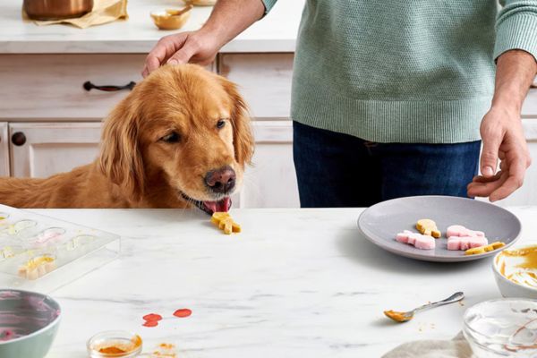 Why Make Easter Bunny Treats For Dogs?