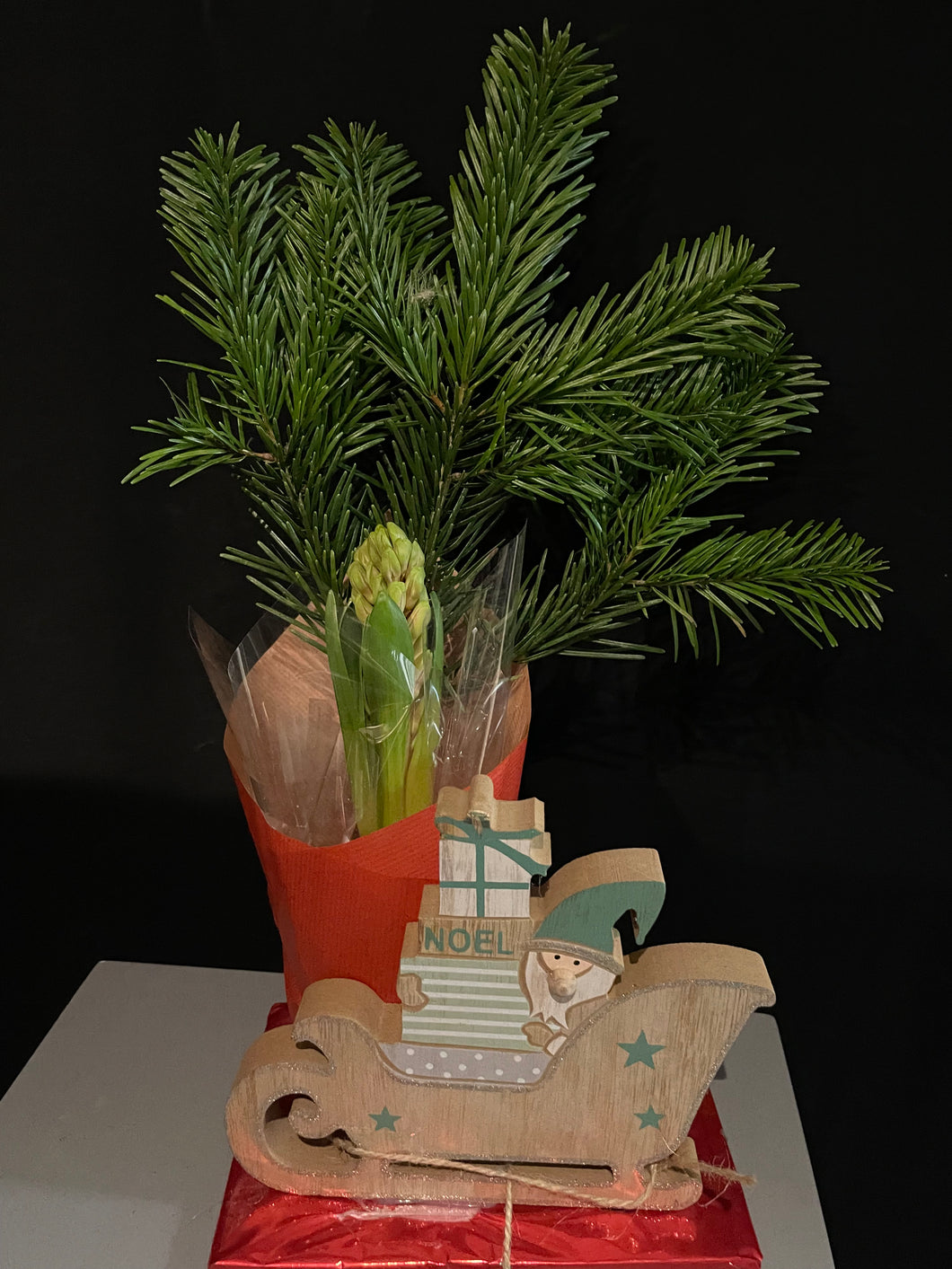 jacinthe avec traineau de noël en bois – Fleur et Style