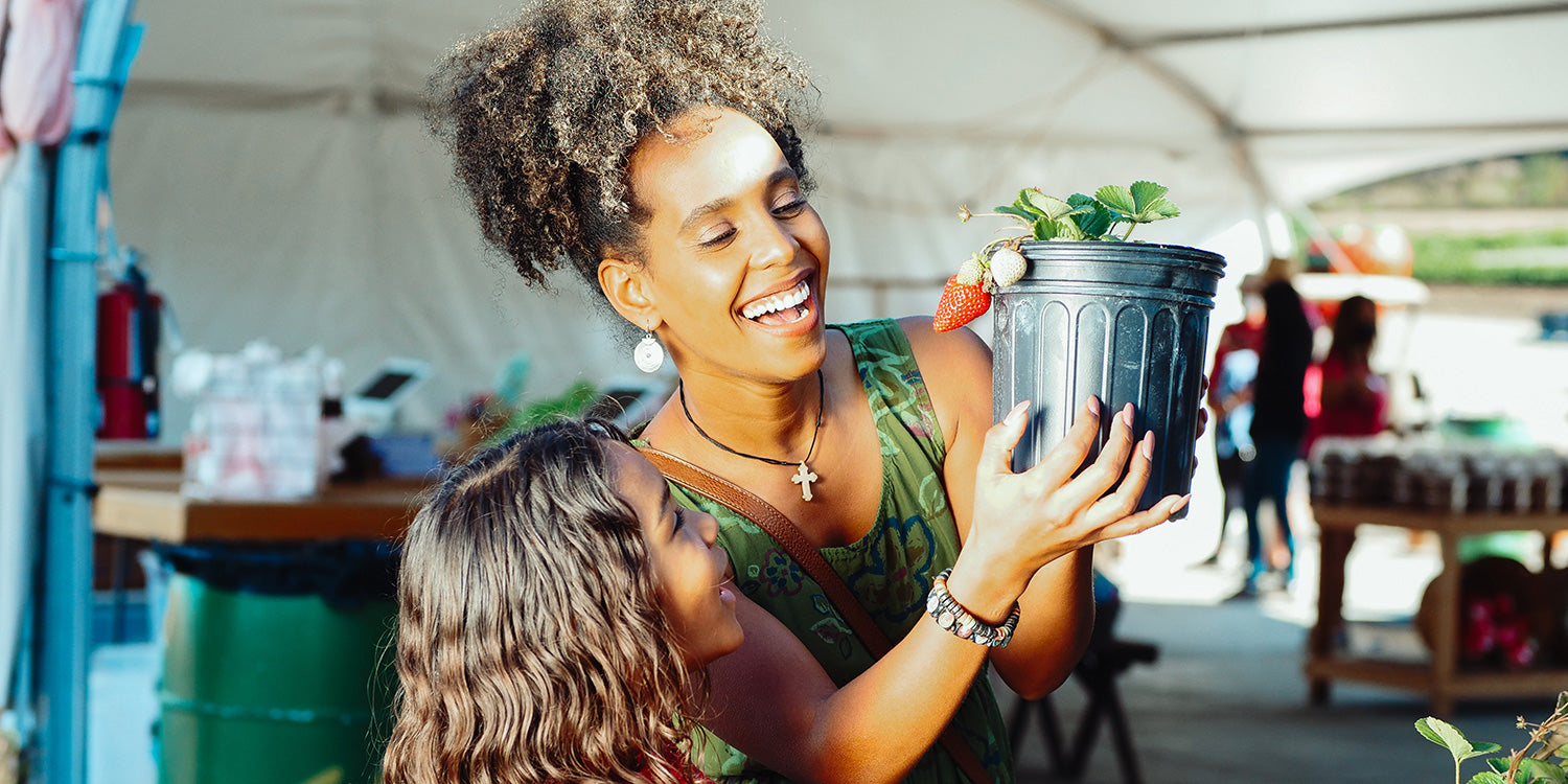 Woman and her child are looking at beautiful strawberries