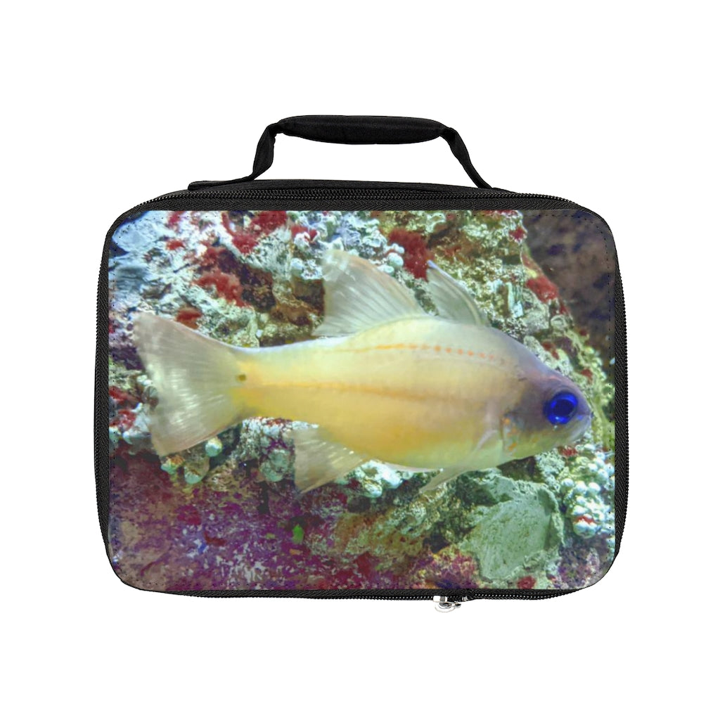 Colorful Fish Lunch Bag