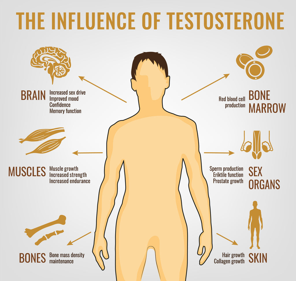 Red Light Therapy For Testosterone Production A Path To Better Sexual Rlt Home