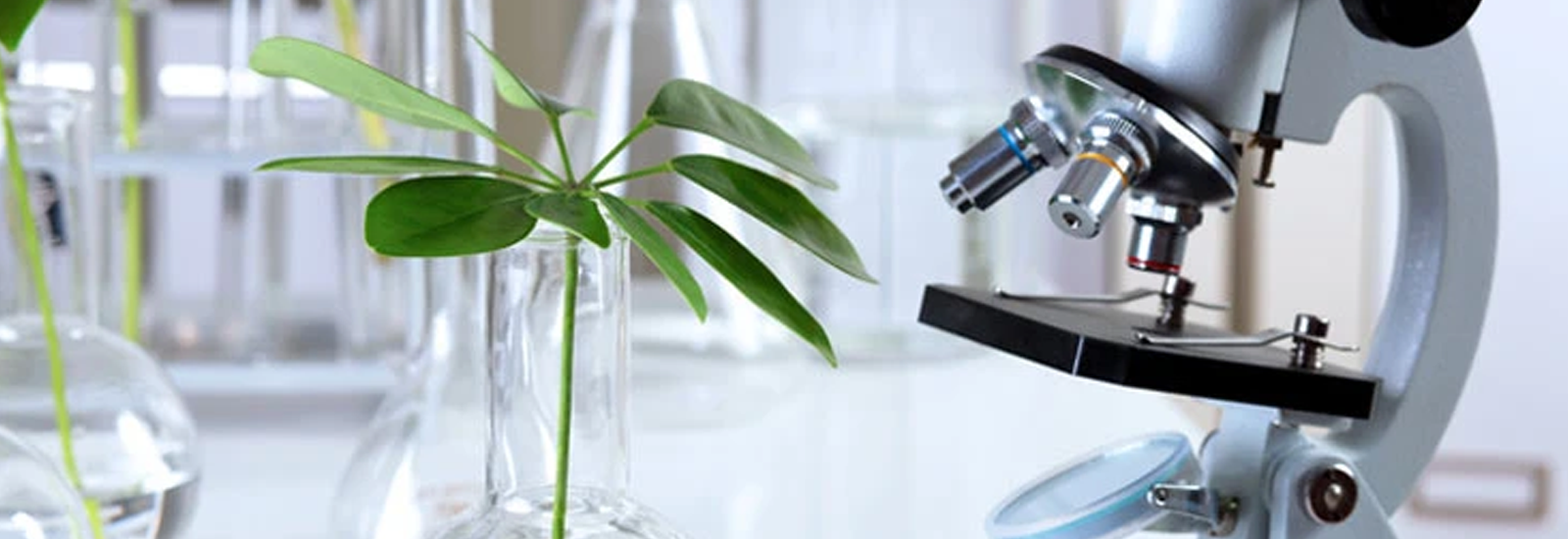 Microscope with herb - Formulating a Herbal Drug - The Himalaya Drug Company