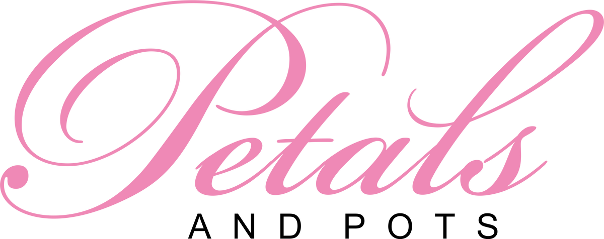Petals & Pots – Petals and Pots