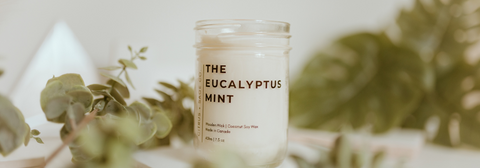 eucalyptus mint candle with greenery around it 