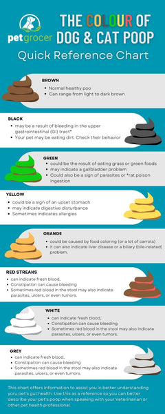 Pet Grocer's Guide to what the colour of your pet's poop means.