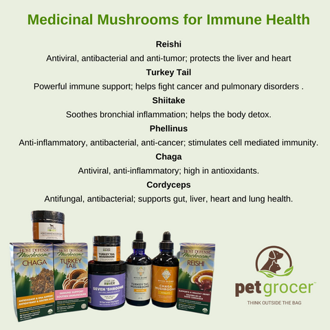 Medicinal Mushrooms at Pet Grocer