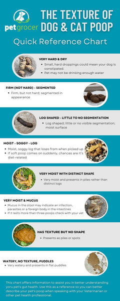 Pet Grocer's Guide to what the texture of your pet's poop means.