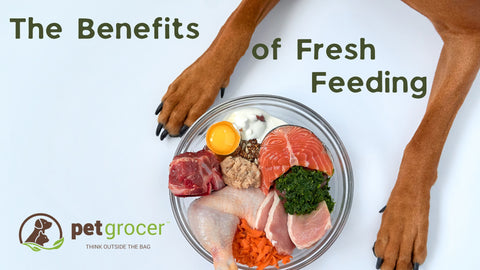 The Benefits of Feeding Fresh - Pet Grocer™ Blog