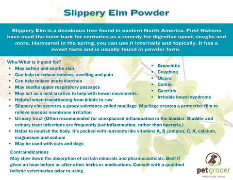 Slippery Elm at Pet Grocer