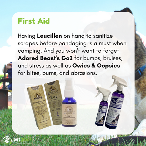 Prepare for bumps, bruises, and scrapes with Adored Beast YourGo2, Owies & Oopsies, and Leucillen spray at Pet Grocer™