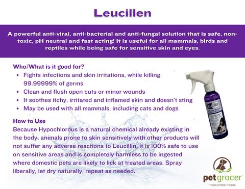 Leucillen antiseptic spray at Pet Grocer