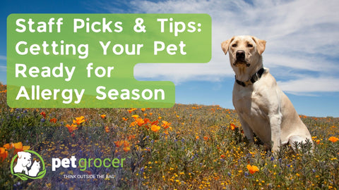 Staff Picks and tips for getting your pet ready for allergy season