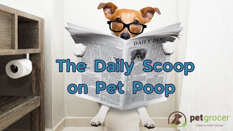 The Daily Scoop on Dog & Cat Poop