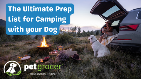 The Ultimate Prep List for Camping with Your Dog