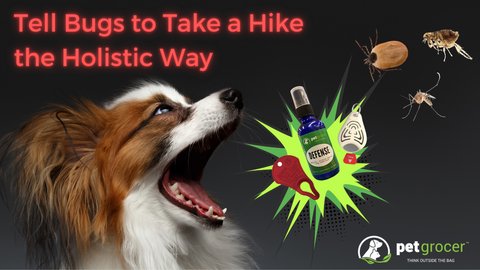 Tell Bugs to take a hike the holistic way with Pet Grocer's Biting Bugs Be Gone Kit