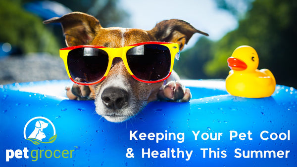 Keeping your pet cool and healthy this summer - tips from Pet Grocer