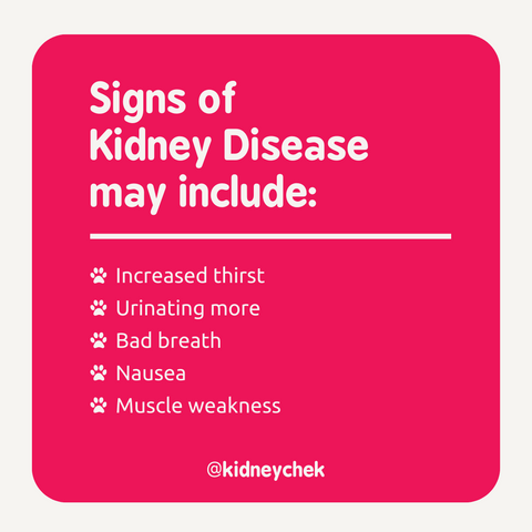 Signs of kidney disease