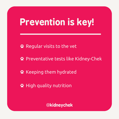 Preventing kidney disease