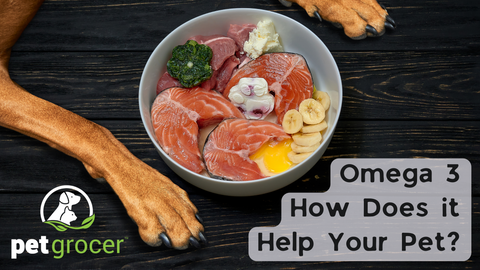 Omega 3 - How does it help your pet?